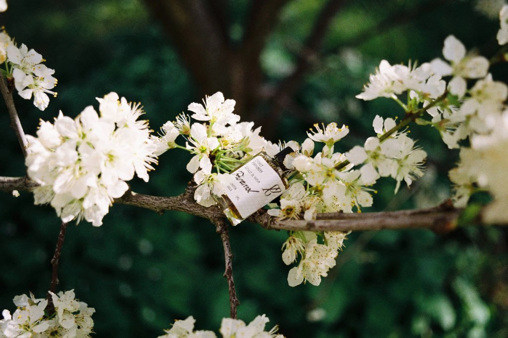 The Rise of Independent Perfumers in Small-Batch Fragrance and our favourite scents of 2026 